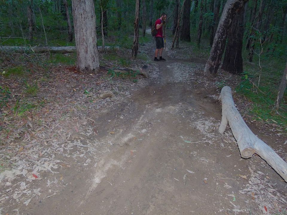 P1160355.jpg